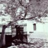 Fuente c. San Antonio